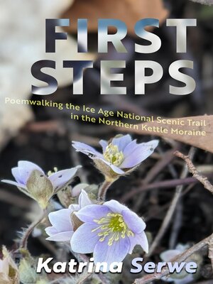cover image of First Steps